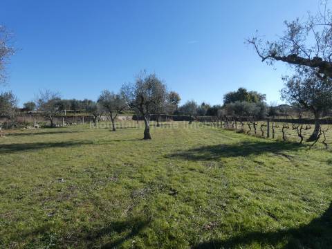 Quinta  Venda em Paranhos,Seia