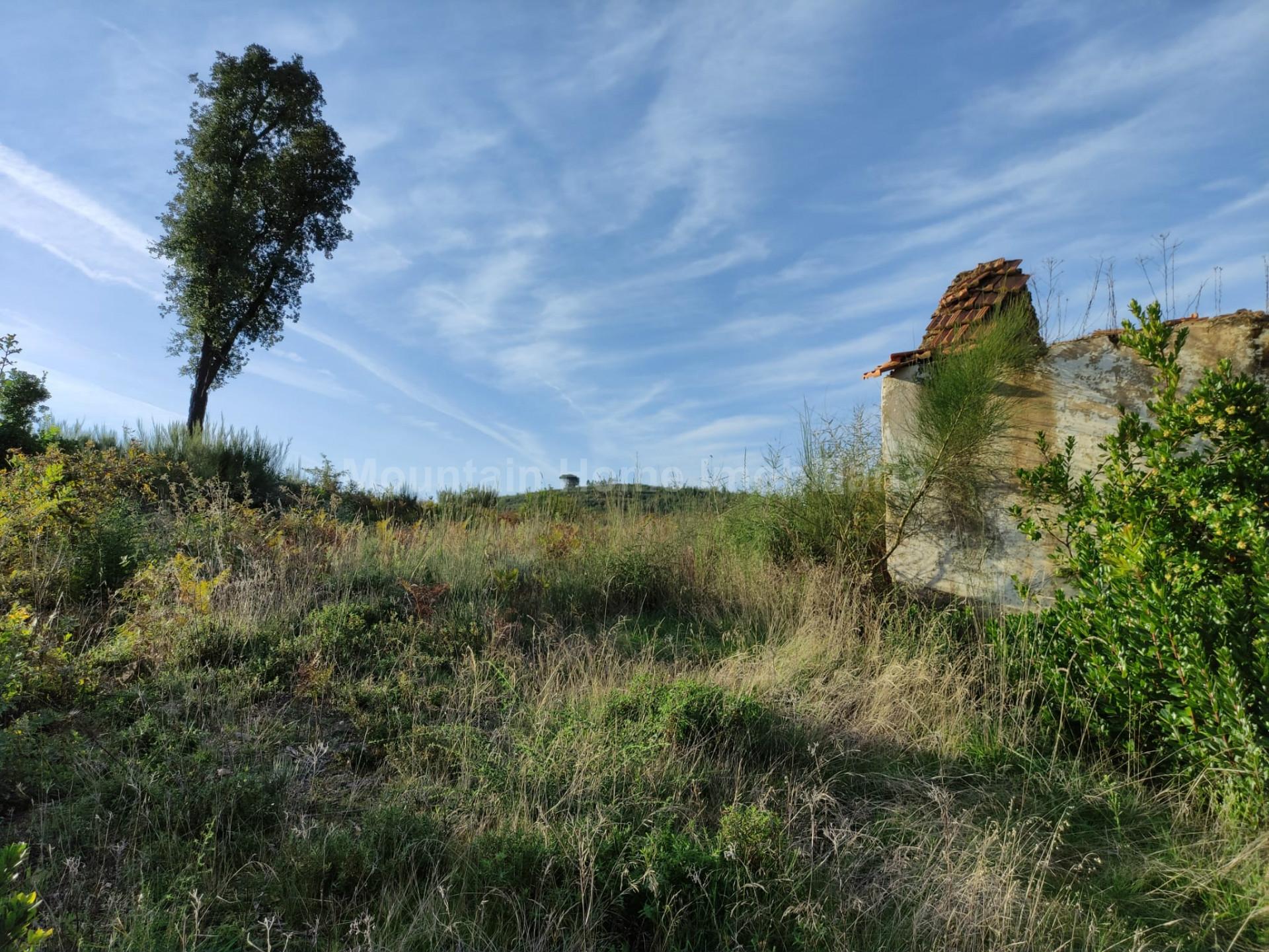 Quinta  Venda em Torrozelo e Folhadosa,Seia