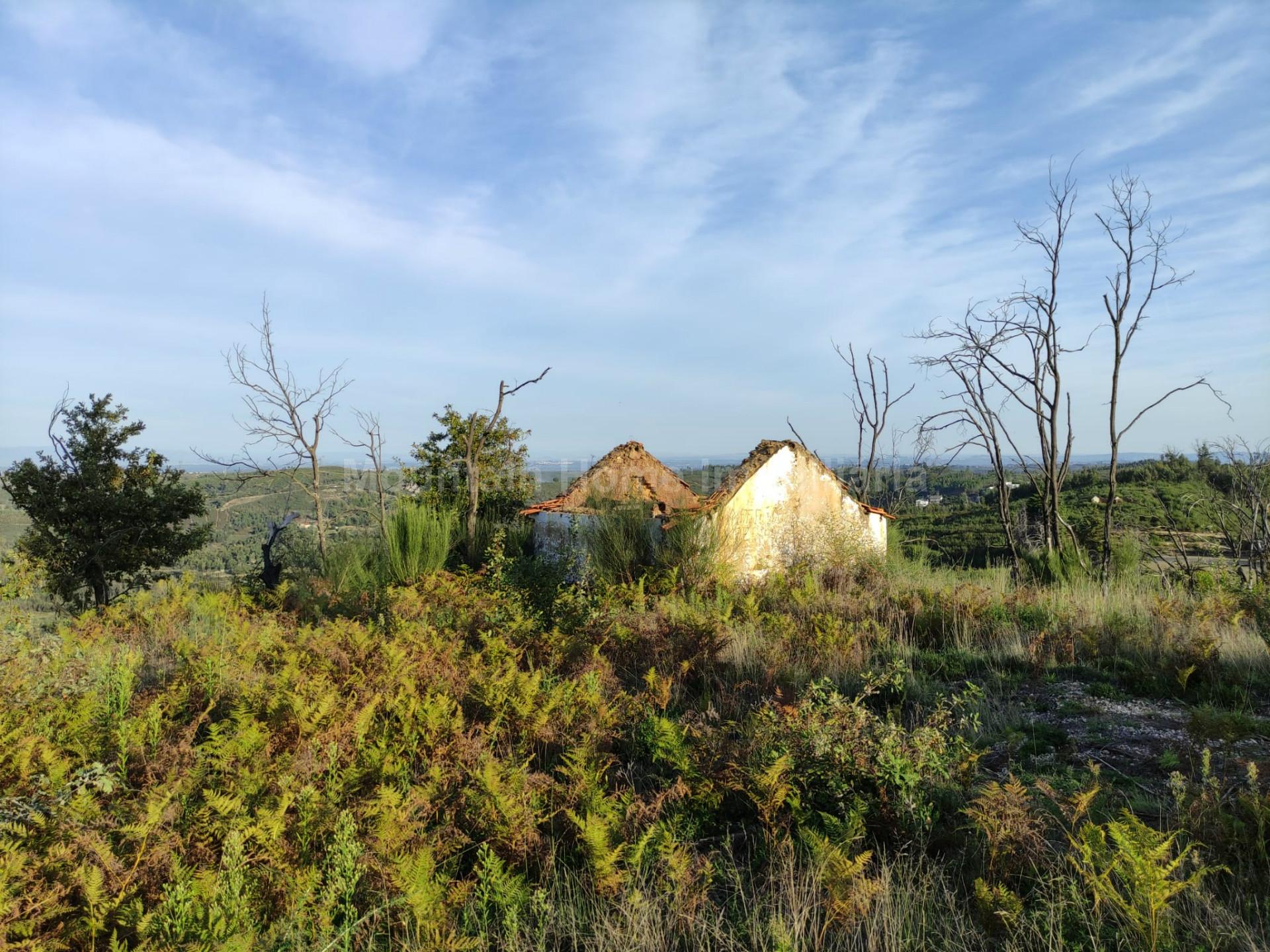 Quinta  Venda em Torrozelo e Folhadosa,Seia