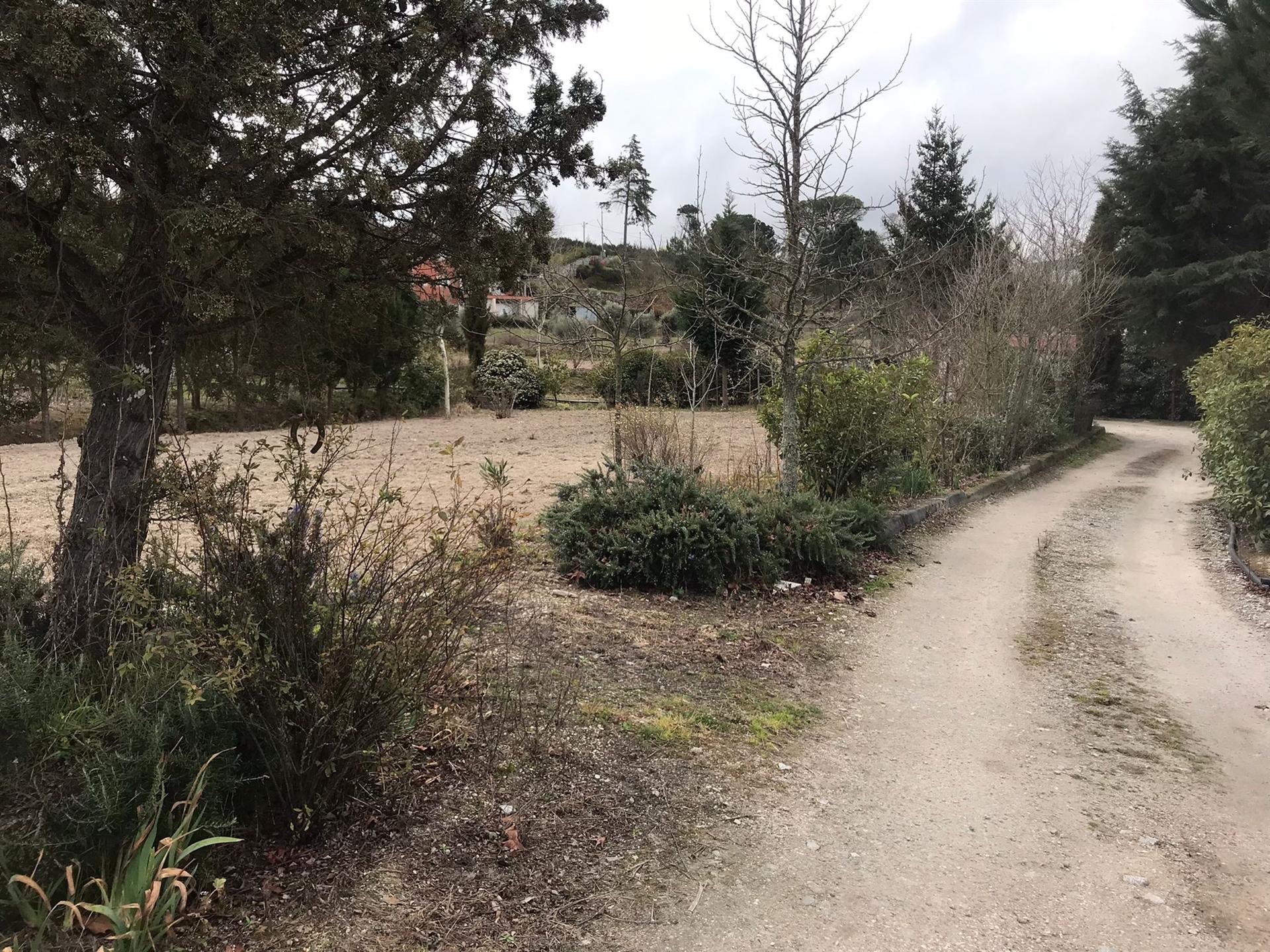 Quinta T3 Venda em Rio Torto e Lagarinhos,Gouveia