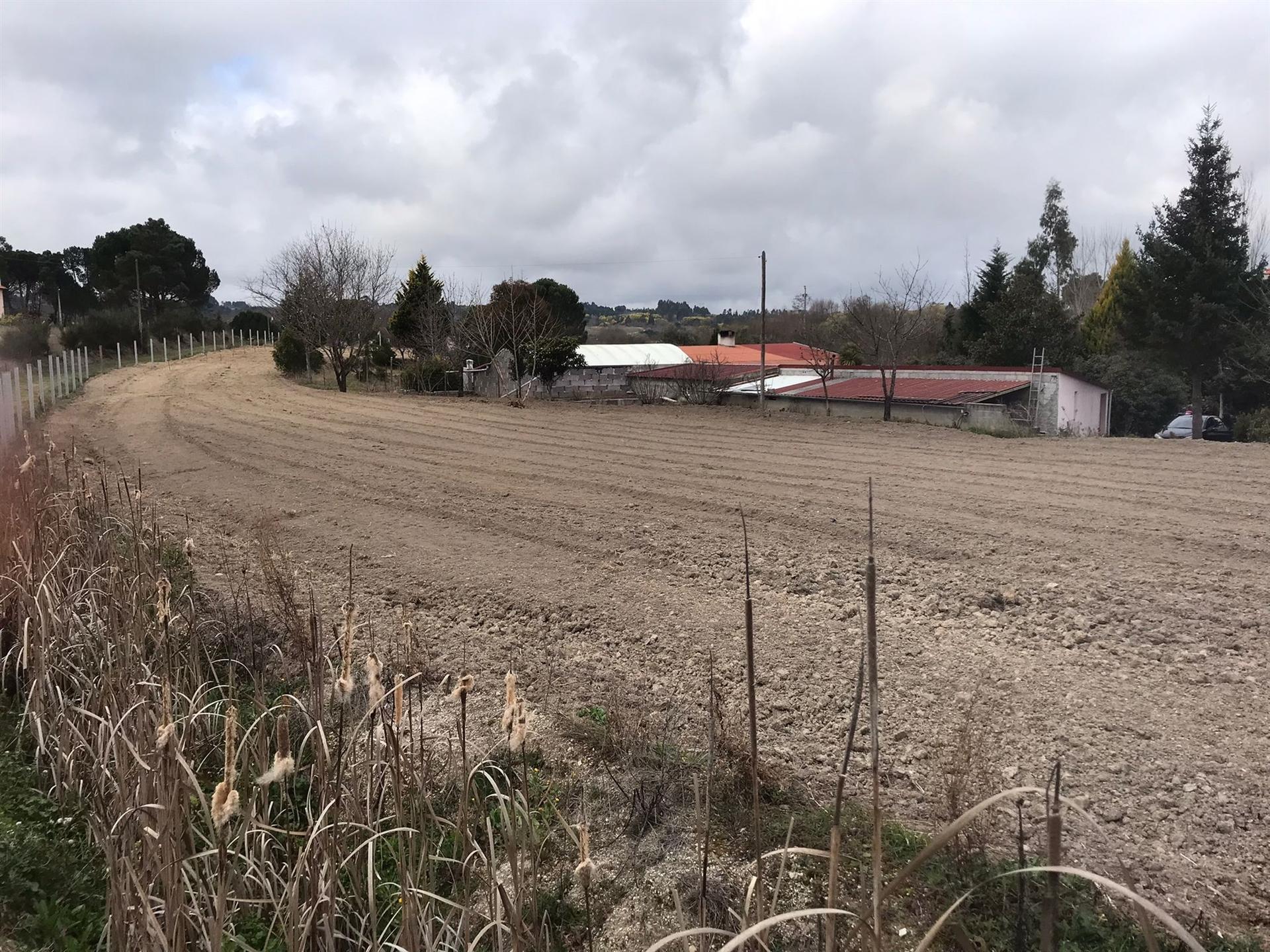 Quinta T3 Venda em Rio Torto e Lagarinhos,Gouveia