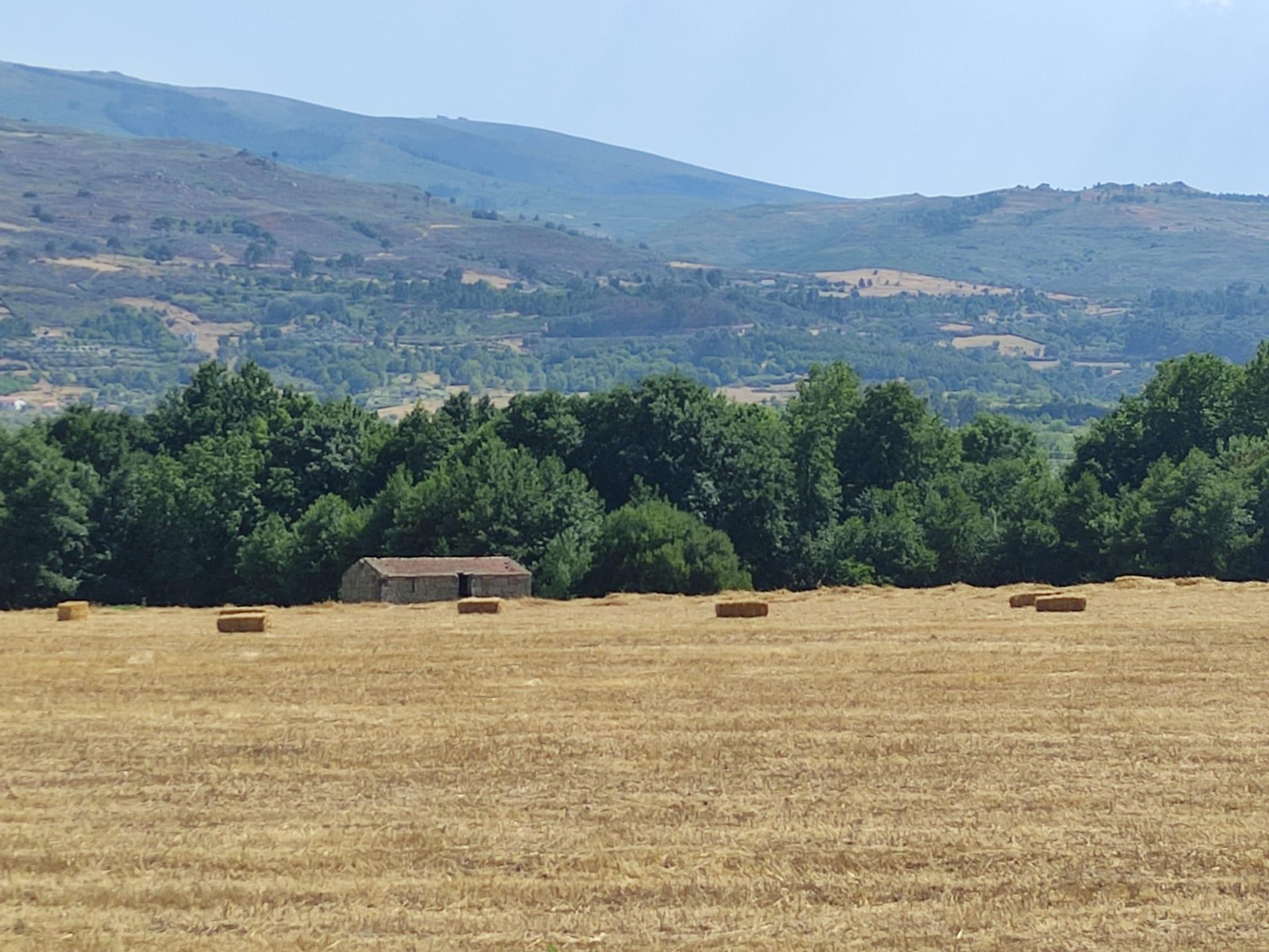 Quinta  Venda em Melo e Nabais,Gouveia