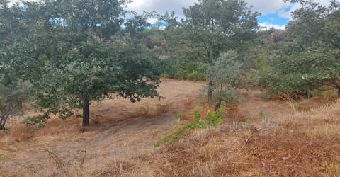 Quintinha  Venda em Figueiró da Serra e Freixo da Serra,Gouveia