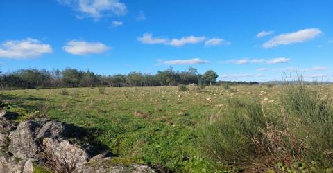 Quinta  Venda em Ribamondego,Gouveia