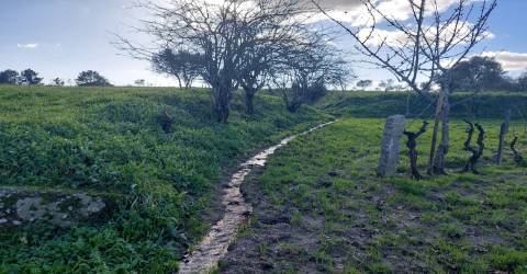 Quinta  Venda em Ribamondego,Gouveia