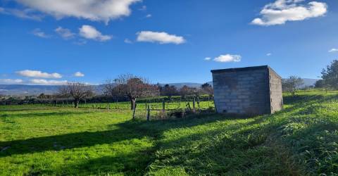 Quinta  Venda em Ribamondego,Gouveia