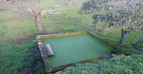 Quinta  Venda em Ribamondego,Gouveia