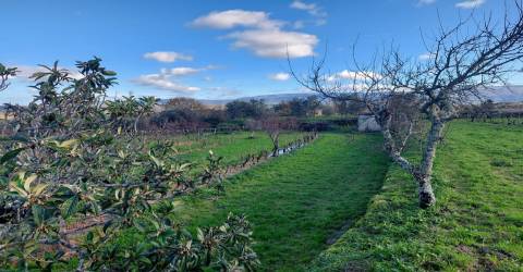 Quinta  Venda em Ribamondego,Gouveia