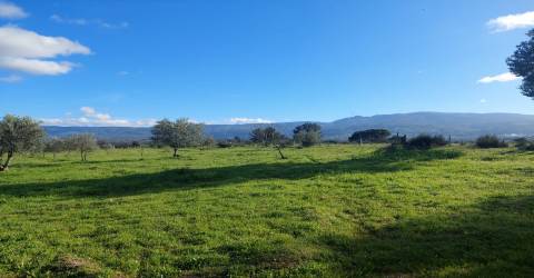Quinta  Venda em Ribamondego,Gouveia