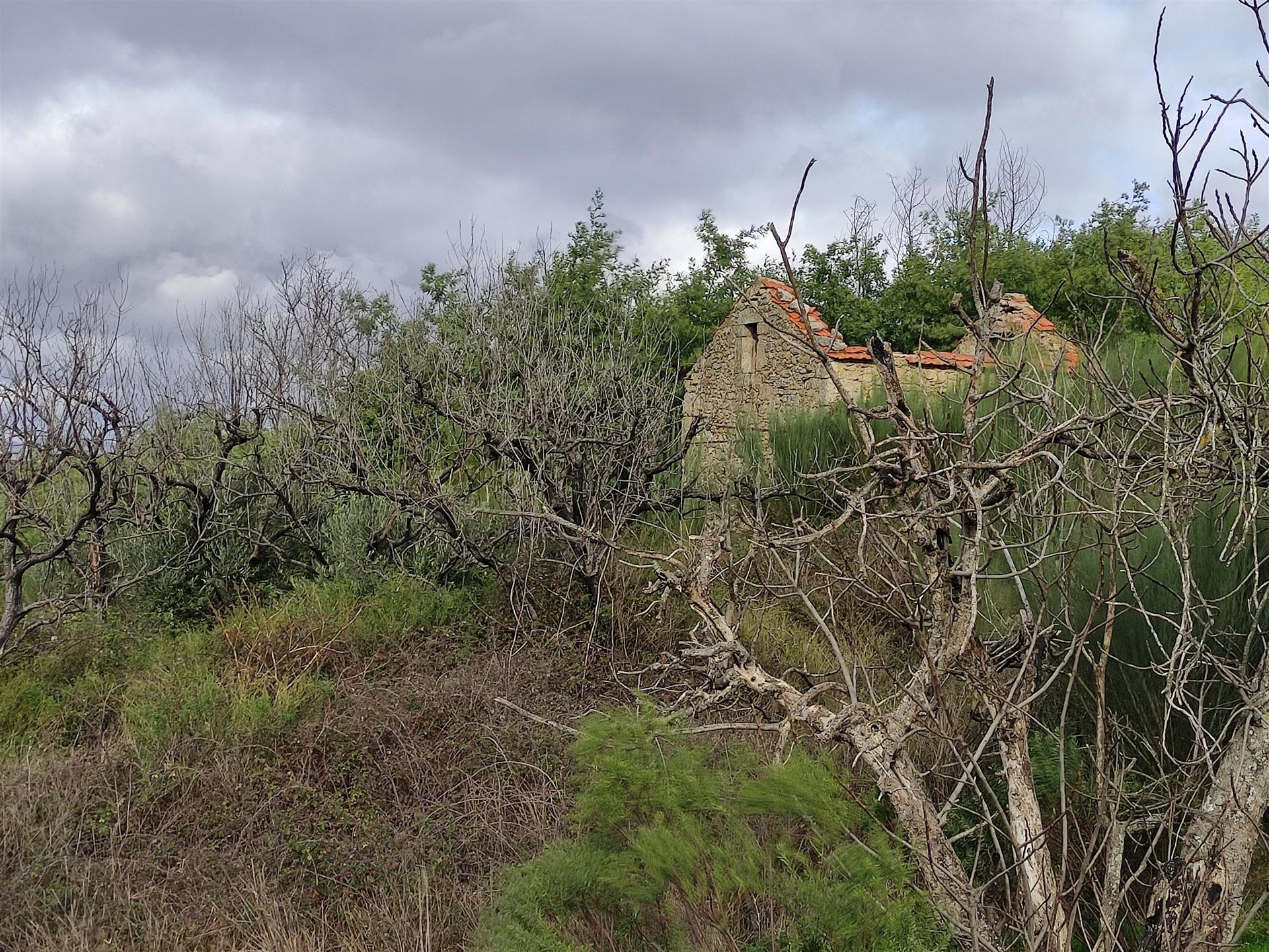 Quinta  Venda em Figueiró da Serra e Freixo da Serra,Gouveia