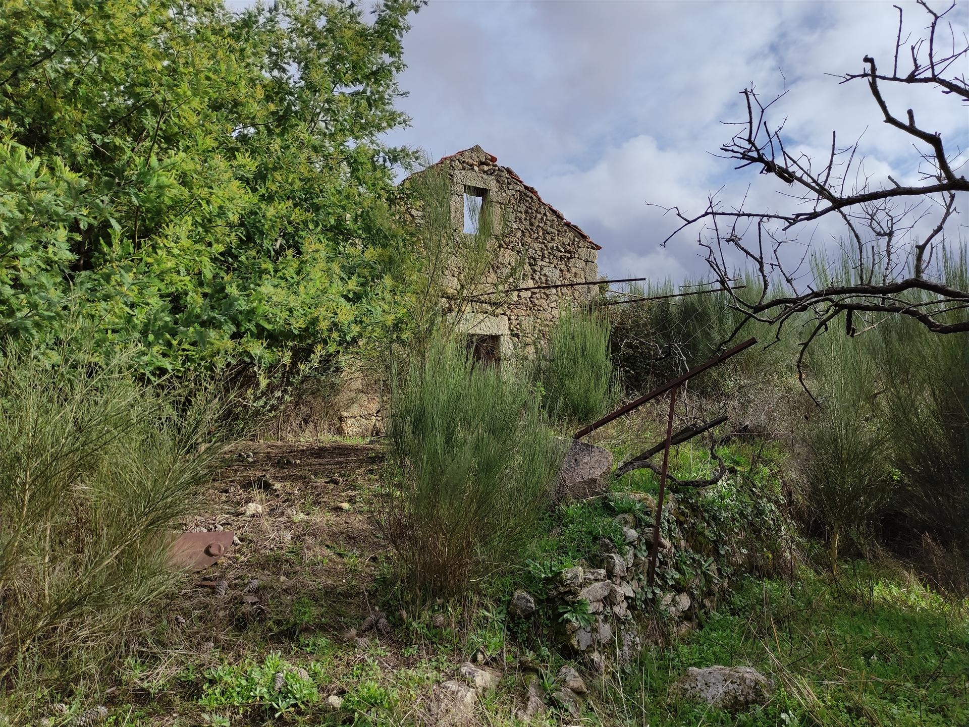 Quinta  Venda em Figueiró da Serra e Freixo da Serra,Gouveia