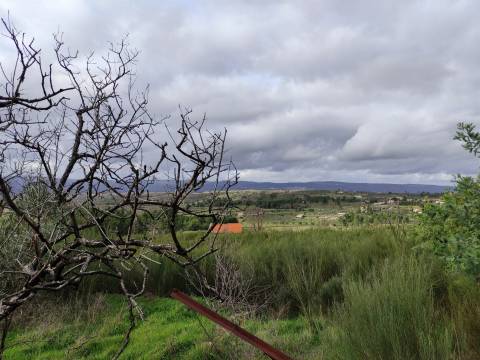 Quinta  Venda em Figueiró da Serra e Freixo da Serra,Gouveia