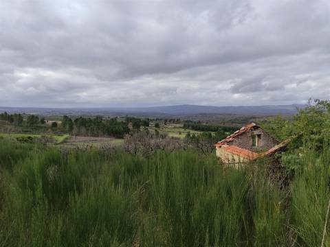 Quinta  Venda em Figueiró da Serra e Freixo da Serra,Gouveia