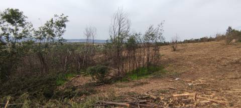 Quinta  Venda em Figueiró da Serra e Freixo da Serra,Gouveia