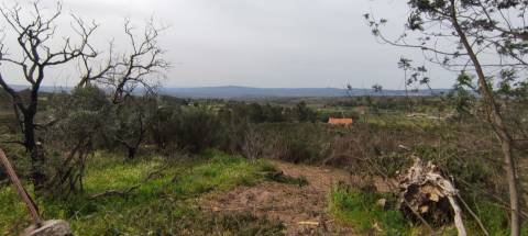 Quinta  Venda em Figueiró da Serra e Freixo da Serra,Gouveia