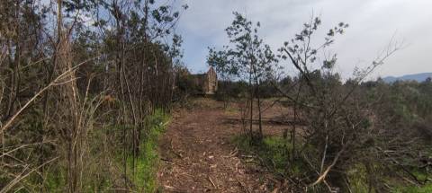 Quinta  Venda em Figueiró da Serra e Freixo da Serra,Gouveia