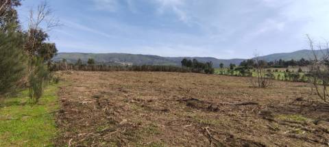 Quinta  Venda em Figueiró da Serra e Freixo da Serra,Gouveia