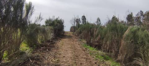 Quinta  Venda em Figueiró da Serra e Freixo da Serra,Gouveia