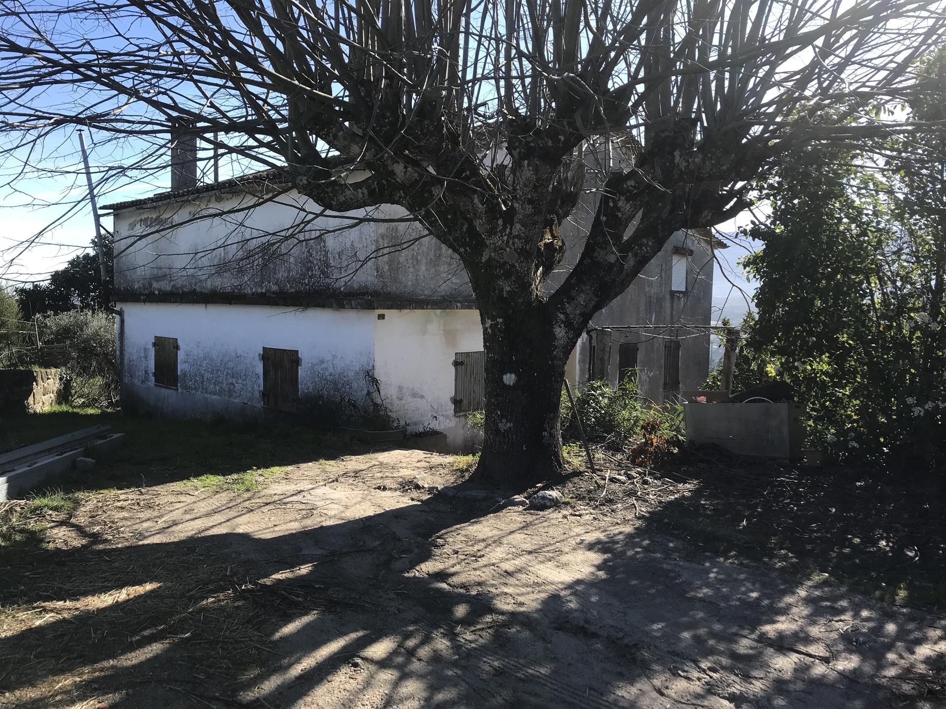 Quinta  Venda em Rio Torto e Lagarinhos,Gouveia