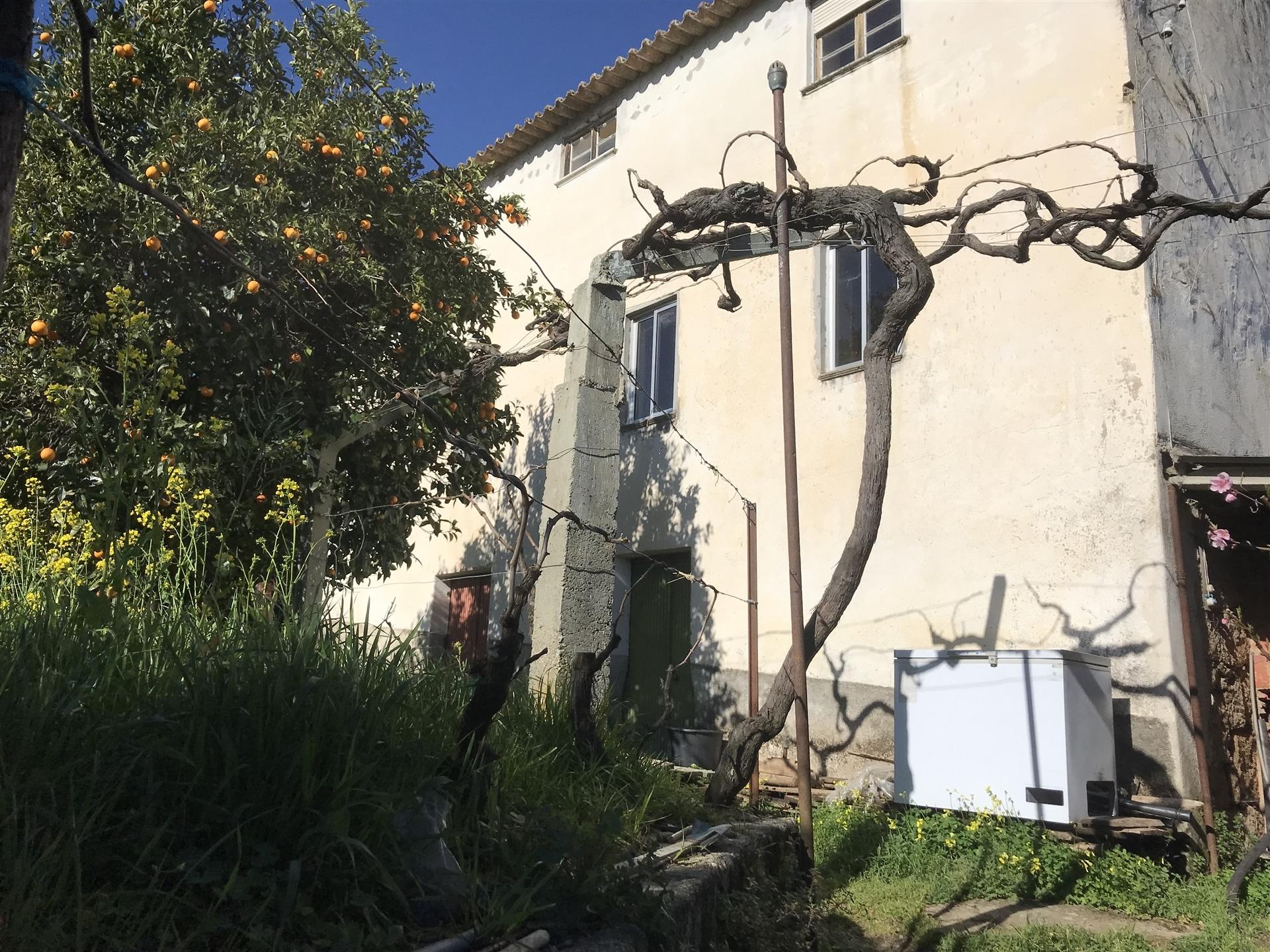 Quinta  Venda em Rio Torto e Lagarinhos,Gouveia