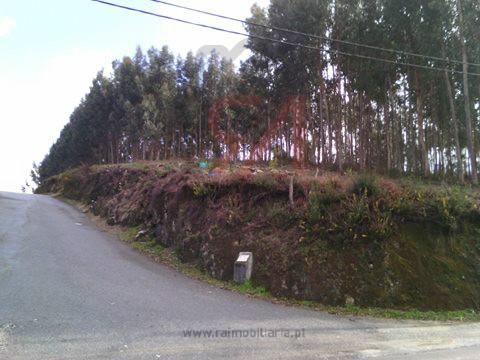 Terreno  Venda em Penamaior,Paços de Ferreira