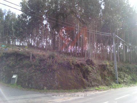 Terreno  Venda em Penamaior,Paços de Ferreira