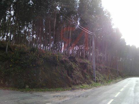 Terreno  Venda em Penamaior,Paços de Ferreira