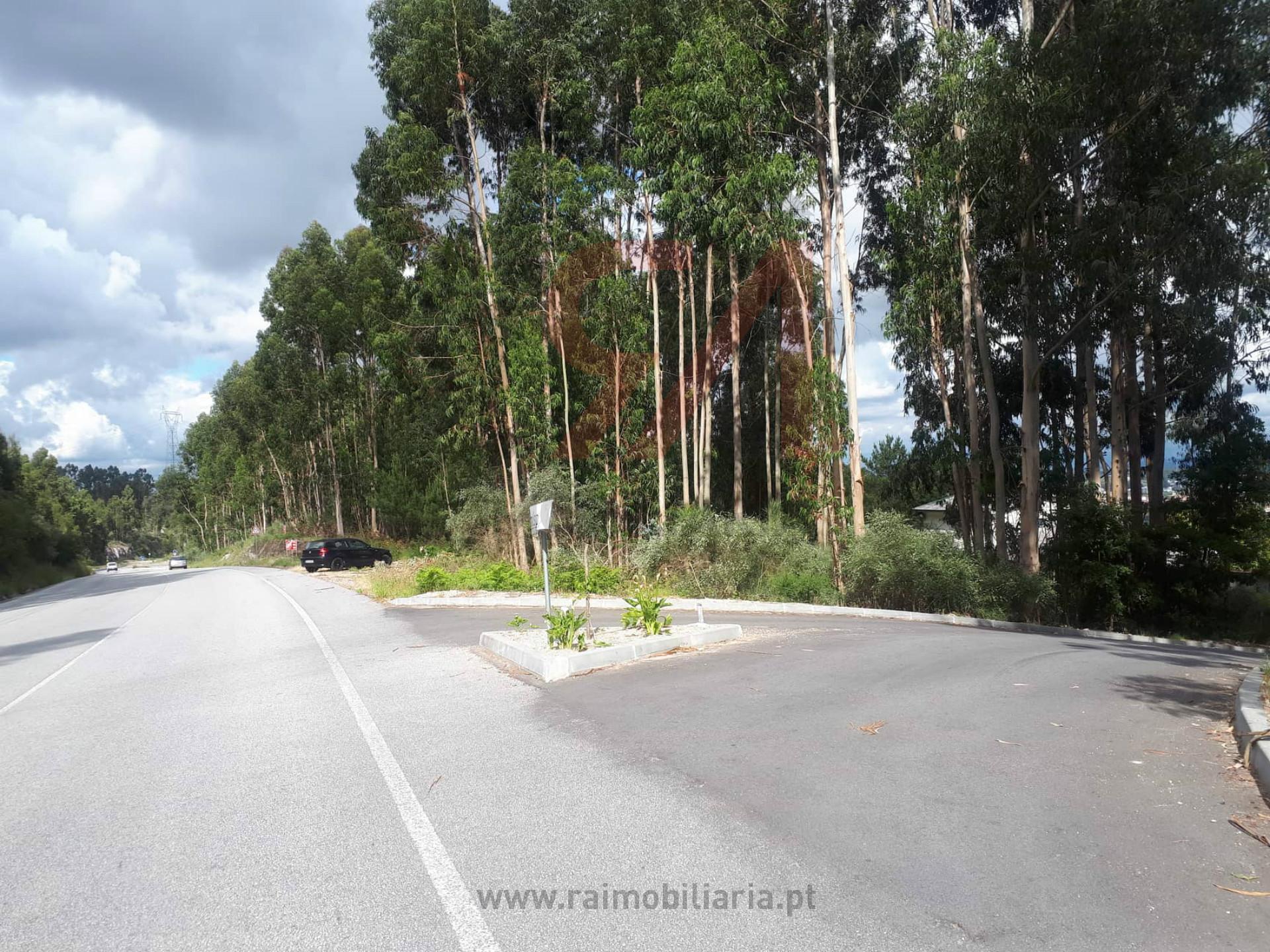 Terreno  Venda em Penamaior,Paços de Ferreira