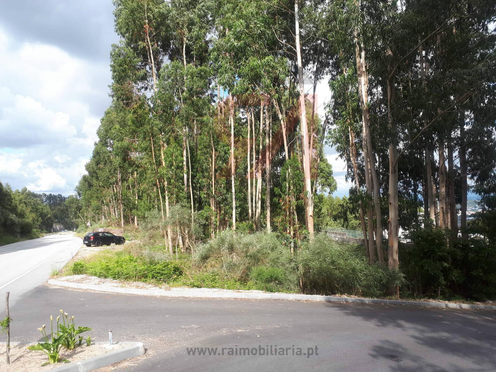 Terreno  Venda em Penamaior,Paços de Ferreira