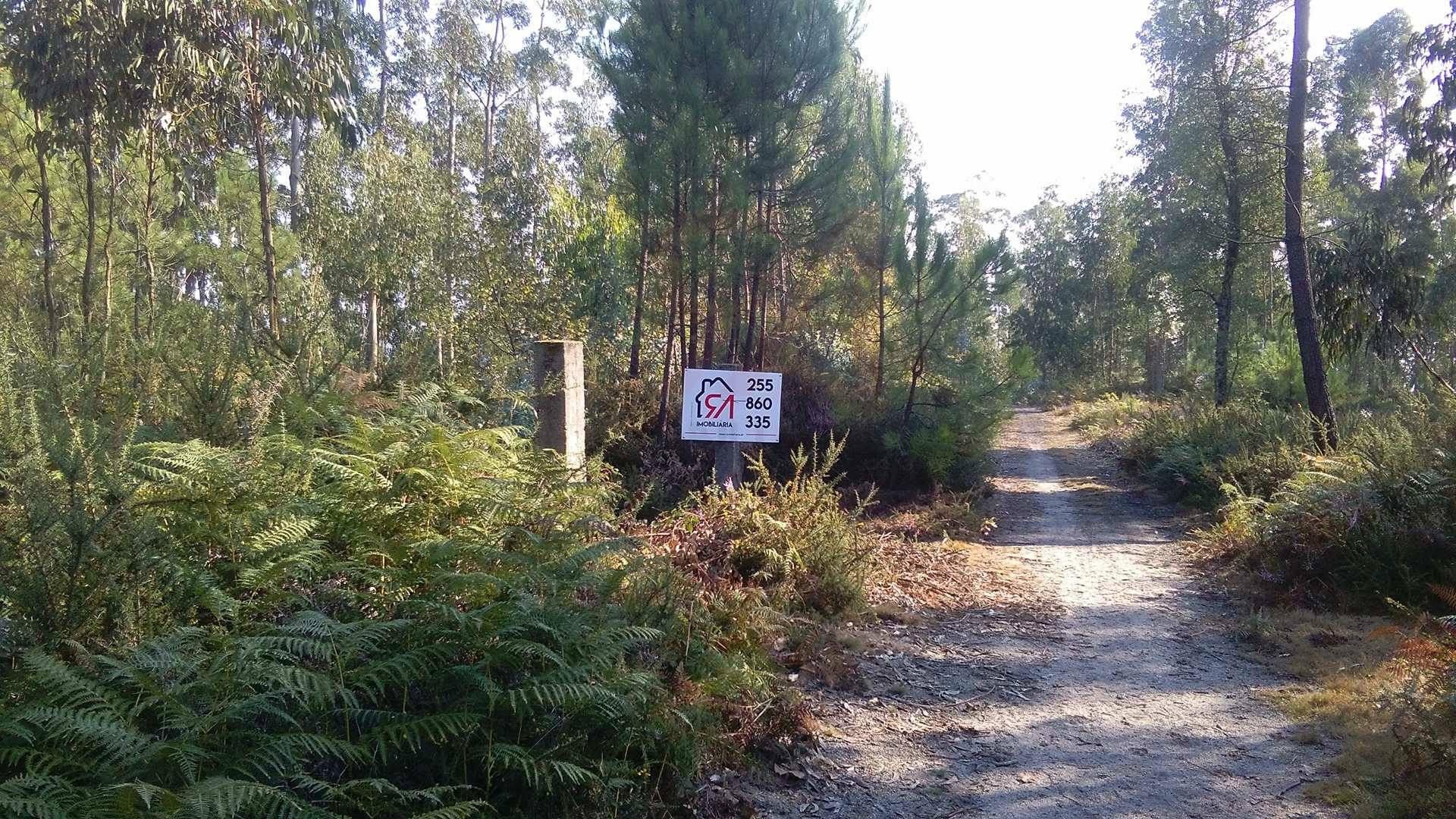 Terreno  Venda em Penamaior,Paços de Ferreira