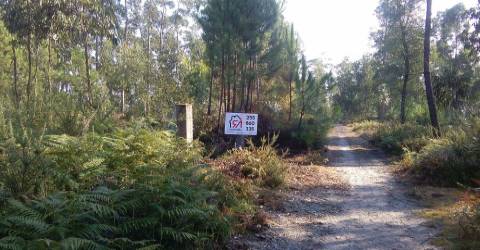Terreno  Venda em Penamaior,Paços de Ferreira