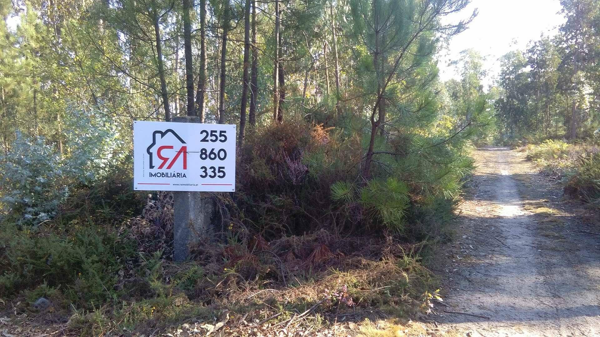 Terreno  Venda em Penamaior,Paços de Ferreira