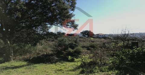 Terreno Para Construção  Venda em Frazão Arreigada,Paços de Ferreira
