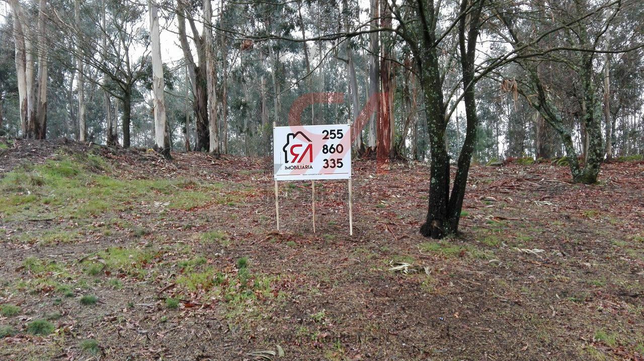 Terreno  Venda em Carvalhosa,Paços de Ferreira