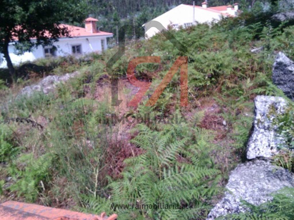 Terreno  Venda em Frazão Arreigada,Paços de Ferreira