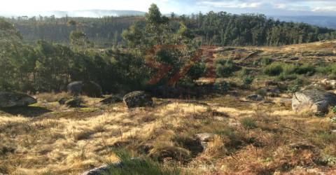 Terreno  Venda em Sanfins Lamoso Codessos,Paços de Ferreira