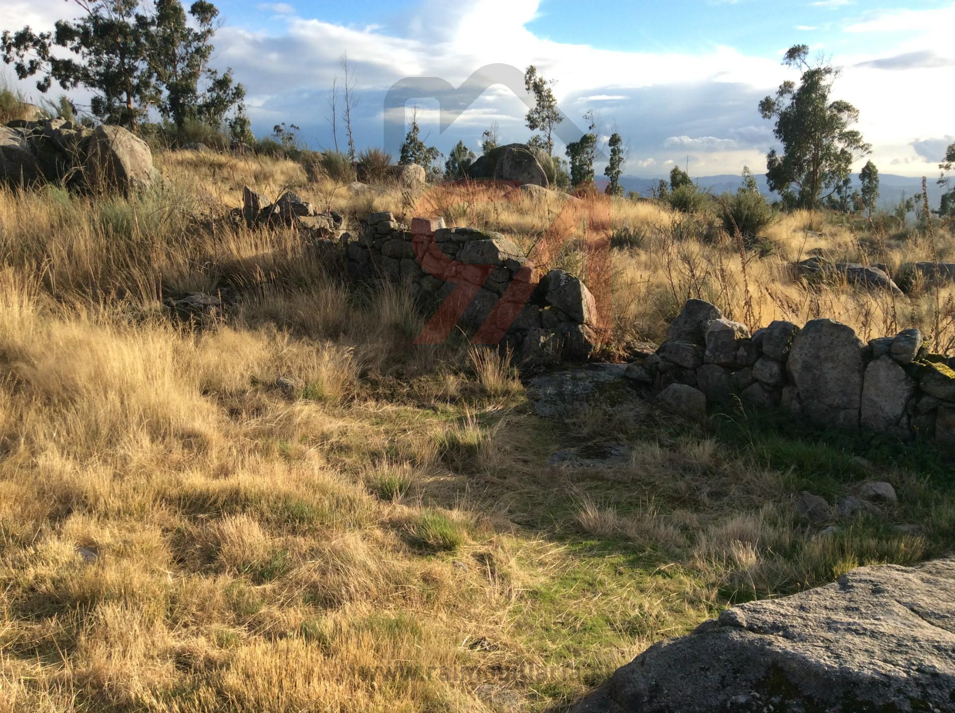 Terreno  Venda em Sanfins Lamoso Codessos,Paços de Ferreira