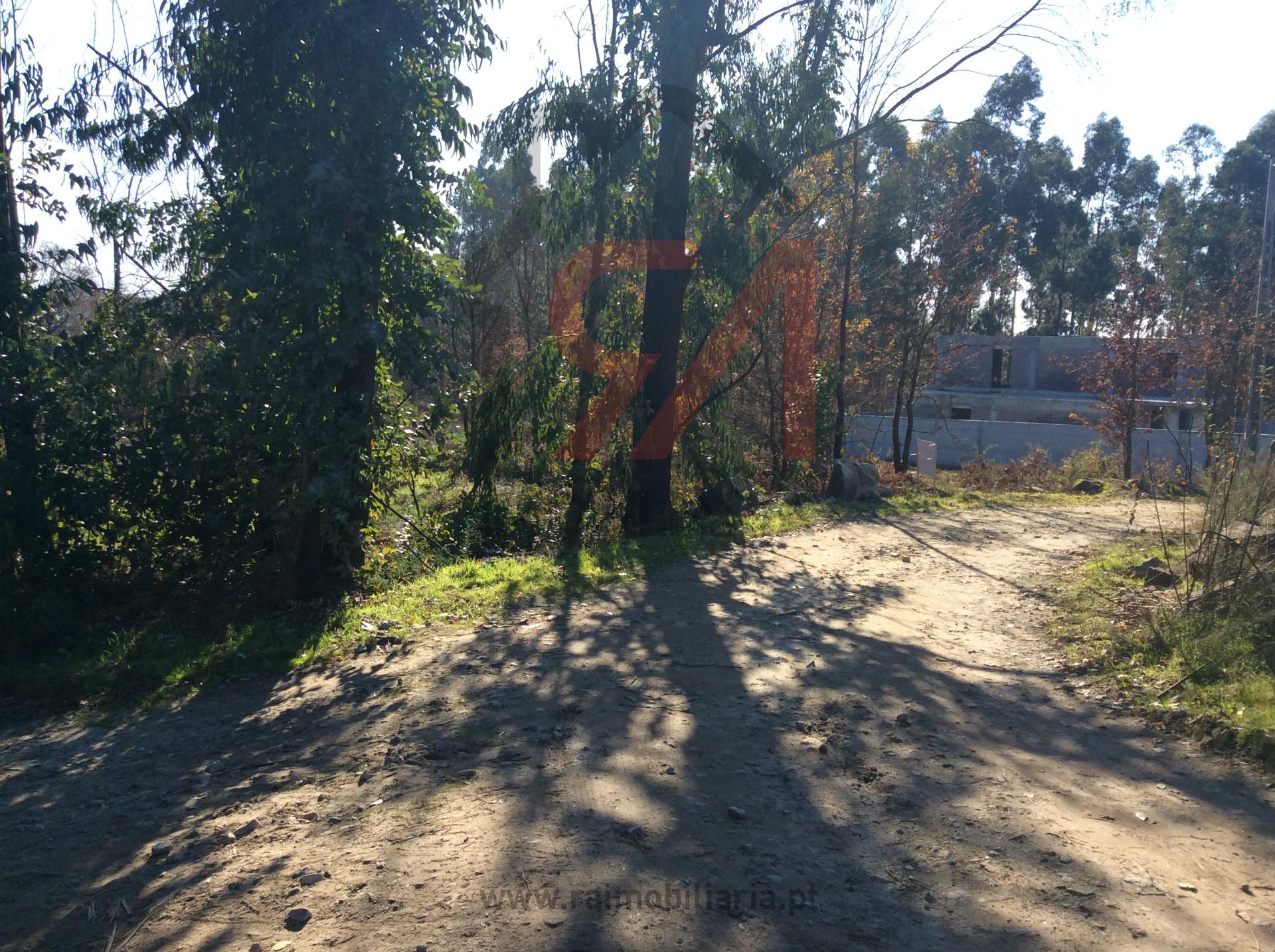 Terreno Para Construção  Venda em Carvalhosa,Paços de Ferreira