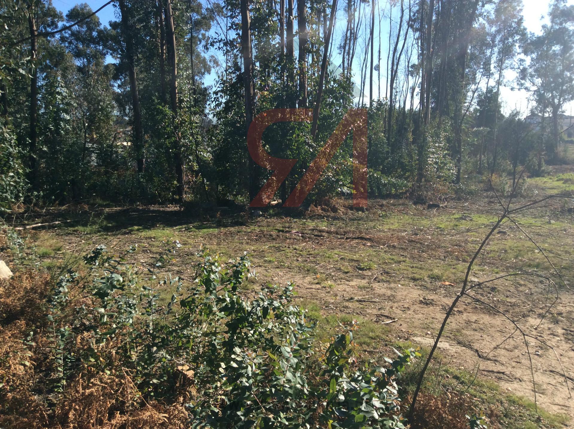 Terreno Para Construção  Venda em Carvalhosa,Paços de Ferreira