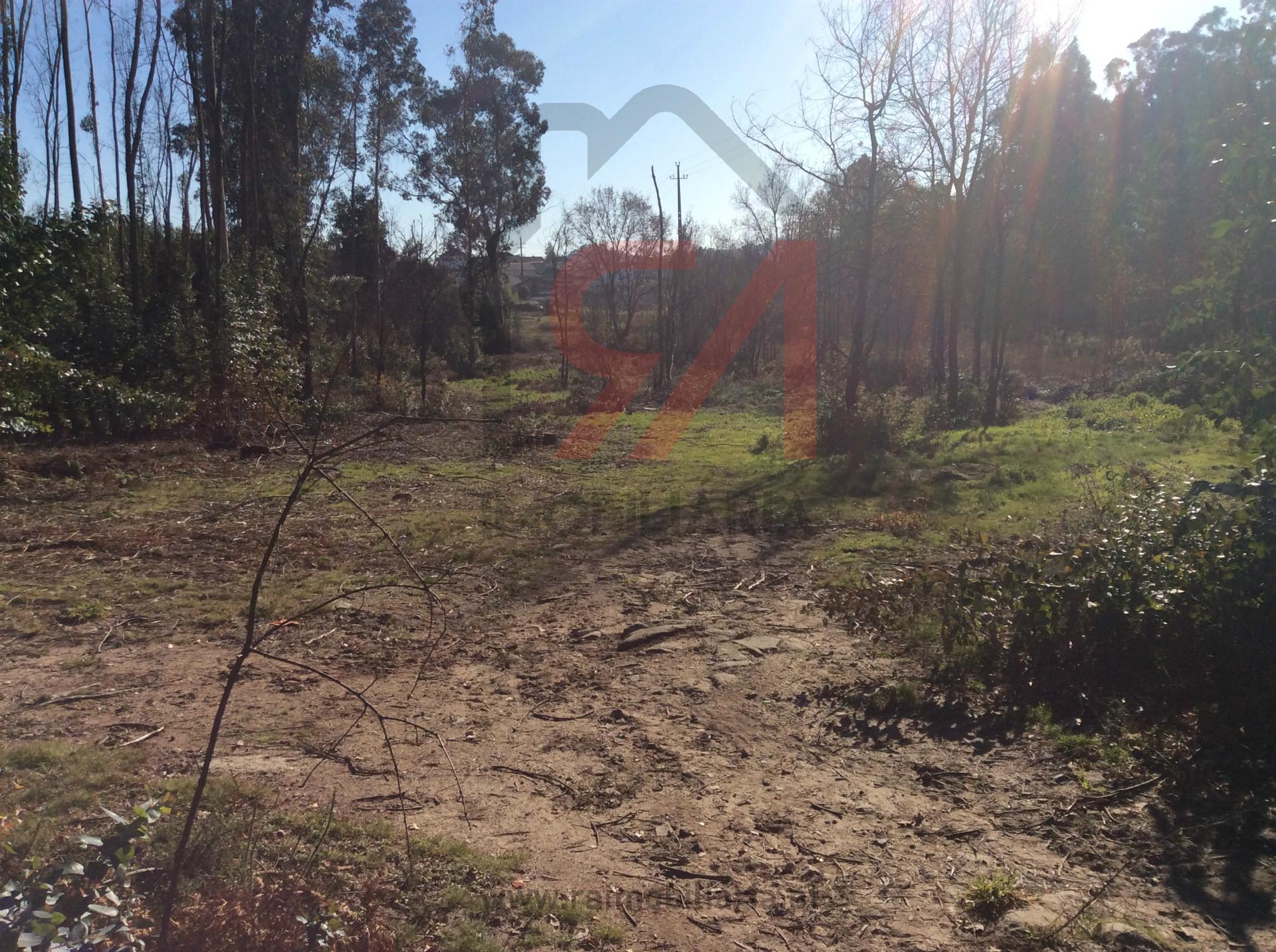 Terreno Para Construção  Venda em Carvalhosa,Paços de Ferreira