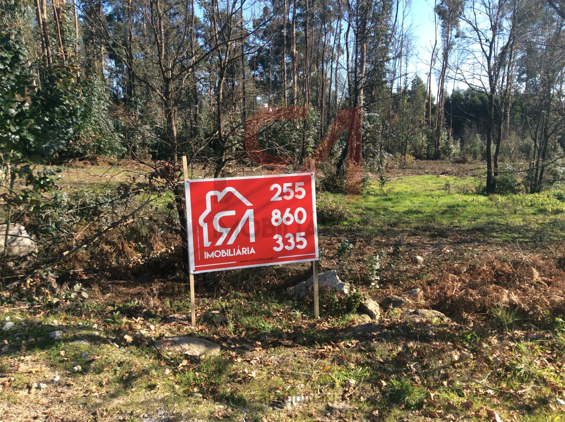 Terreno Para Construção  Venda em Carvalhosa,Paços de Ferreira