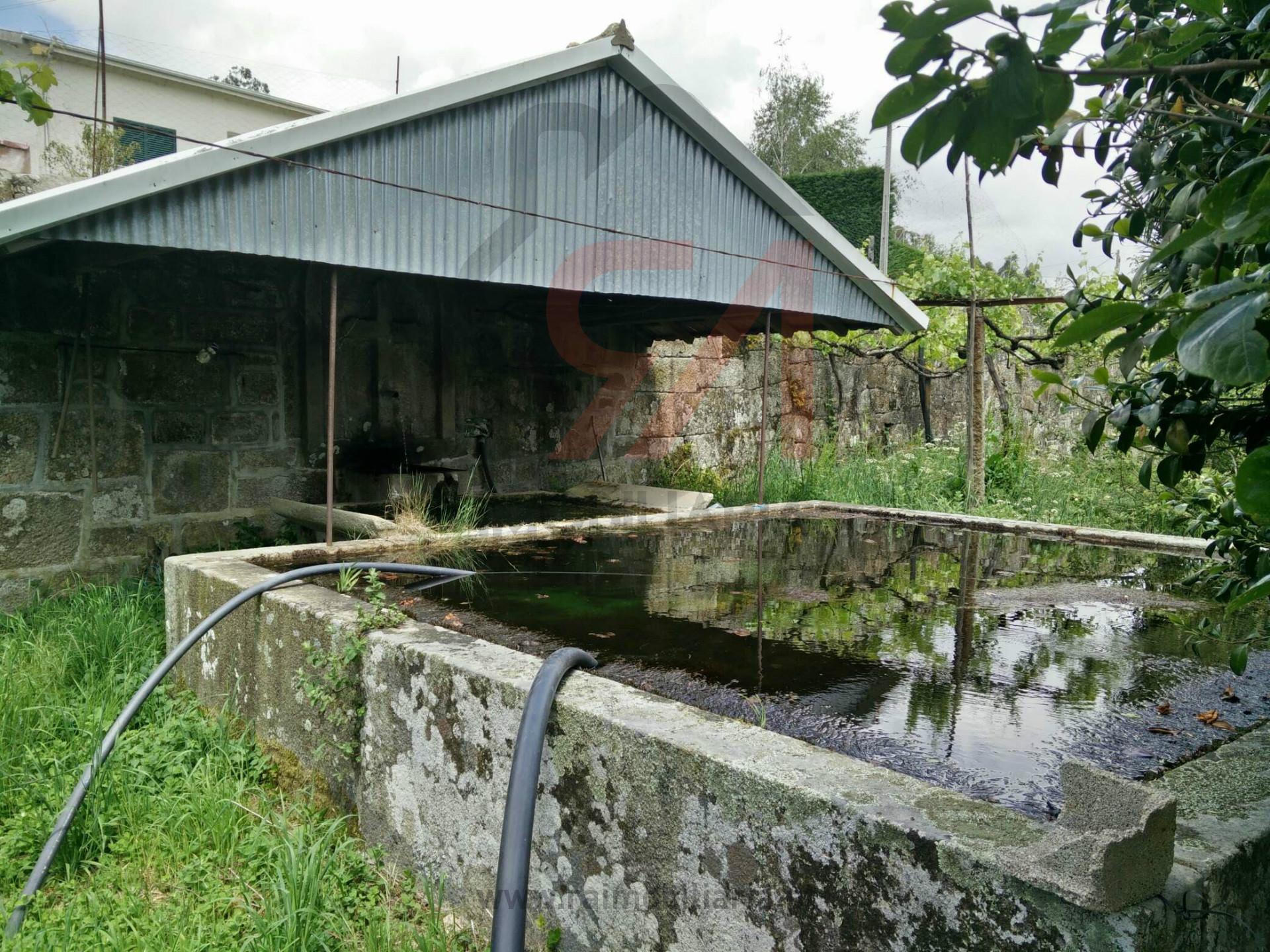 Quintinha  Venda em Sanfins Lamoso Codessos,Paços de Ferreira