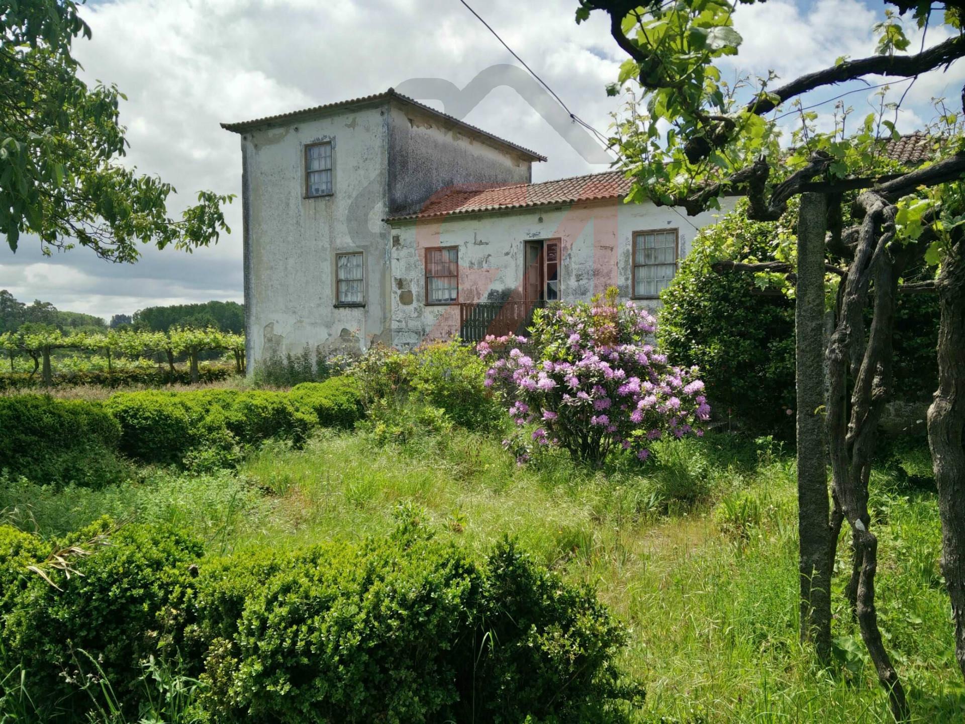 Quintinha  Venda em Sanfins Lamoso Codessos,Paços de Ferreira