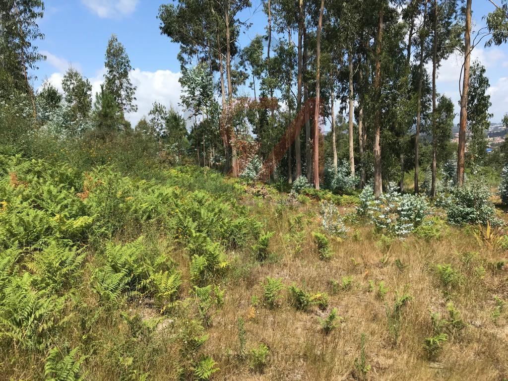 Terreno Para Construção  Venda em Penamaior,Paços de Ferreira