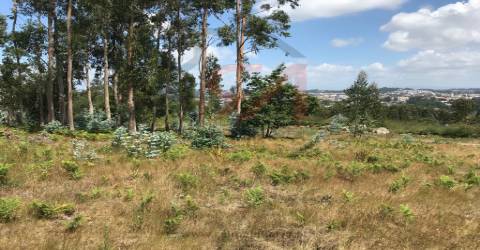 Terreno Para Construção  Venda em Penamaior,Paços de Ferreira