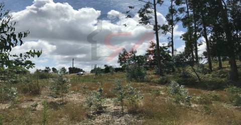 Terreno Para Construção  Venda em Penamaior,Paços de Ferreira