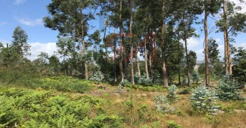 Terreno Para Construção  Venda em Penamaior,Paços de Ferreira