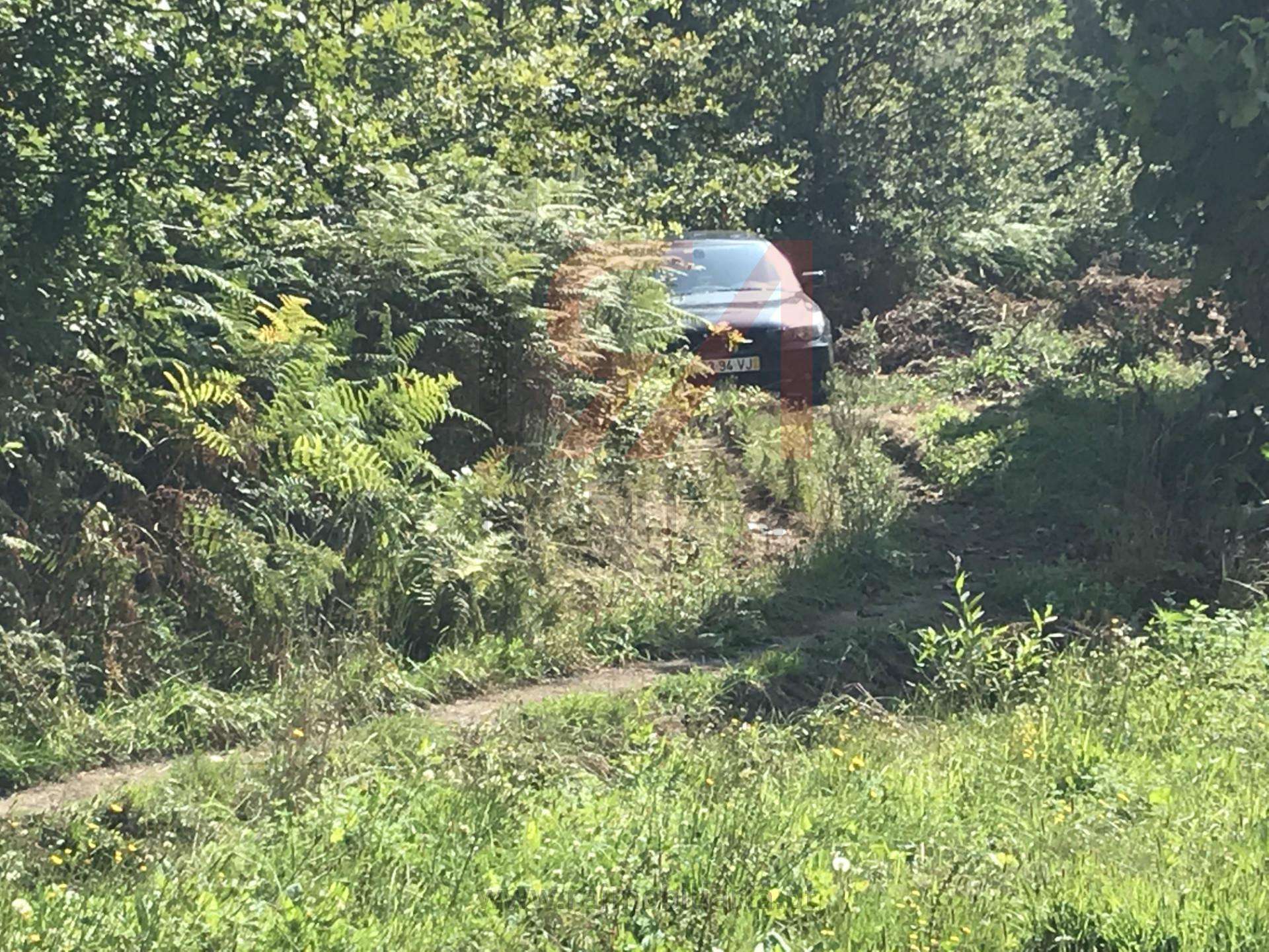 Terreno  Venda em Frazão Arreigada,Paços de Ferreira