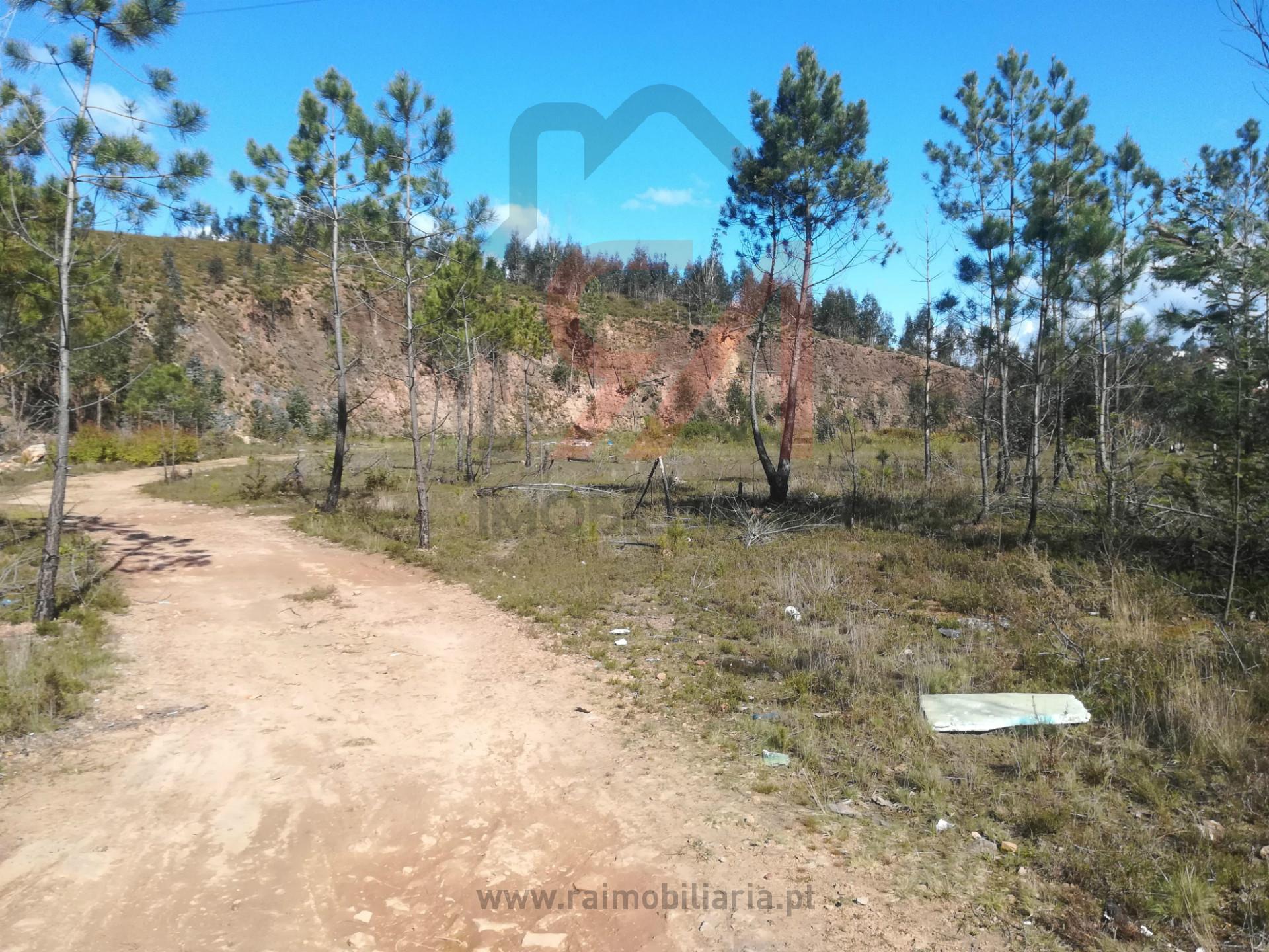 Terreno Para Construção  Venda em Lordelo,Paredes