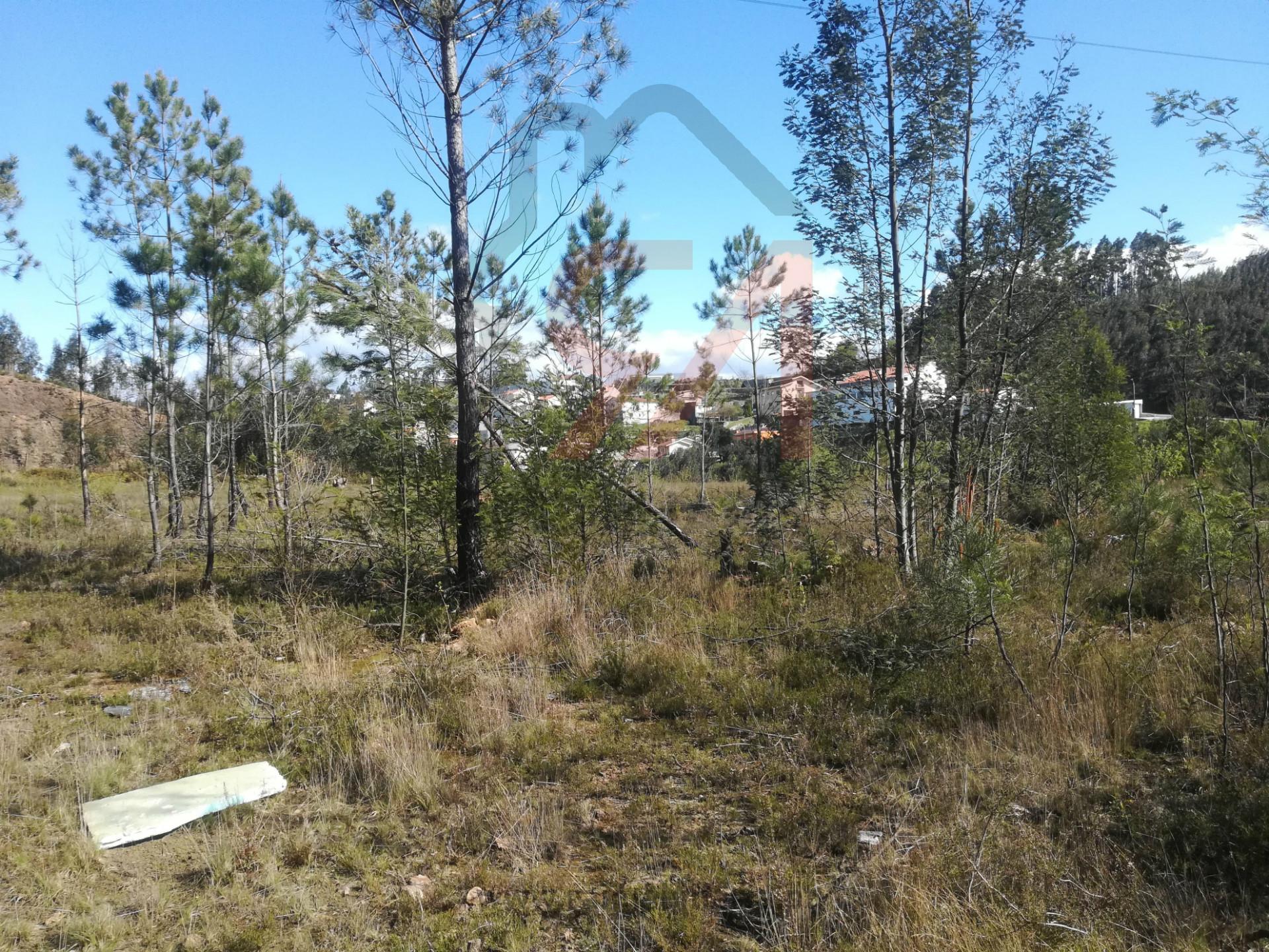 Terreno Para Construção  Venda em Lordelo,Paredes